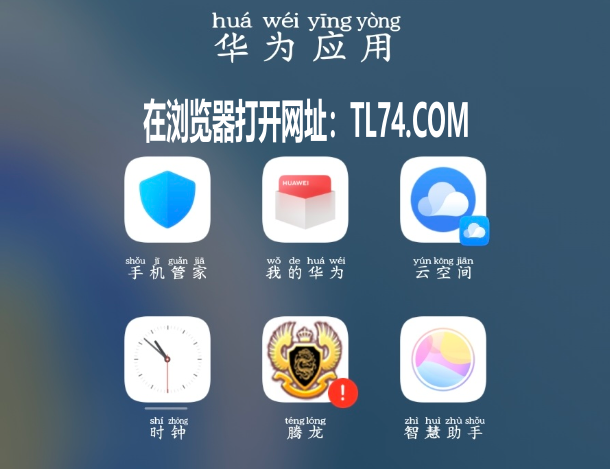 华为